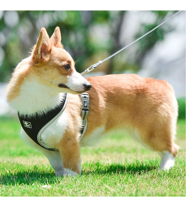 Reflective Adjustable Pet Dog Harness Leash Chest Straps Pet Products for Outdoor Pet Accessories Supply